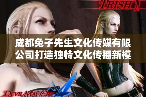 成都兔子先生文化传媒有限公司打造独特文化传播新模式