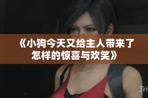 《小狗今天又给主人带来了怎样的惊喜与欢笑》
