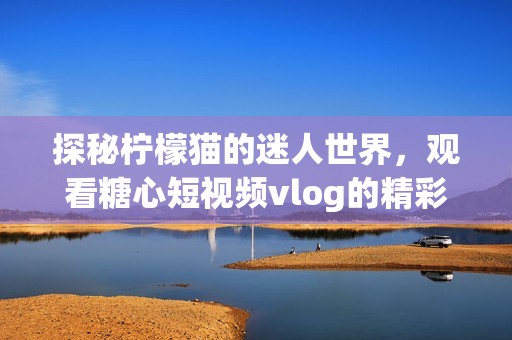 探秘柠檬猫的迷人世界，观看糖心短视频vlog的精彩瞬间