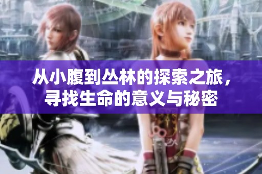 从小腹到丛林的探索之旅，寻找生命的意义与秘密