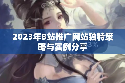 2023年B站推广网站独特策略与实例分享