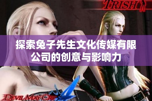 探索兔子先生文化传媒有限公司的创意与影响力