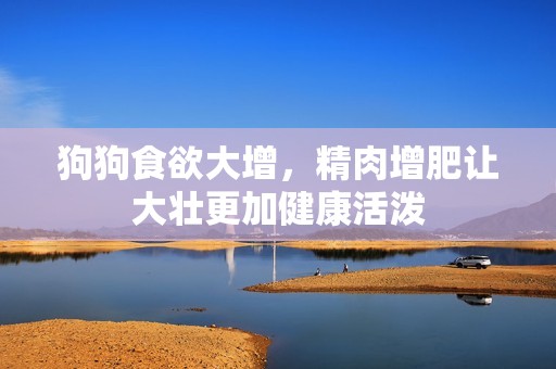 狗狗食欲大增，精肉增肥让大壮更加健康活泼