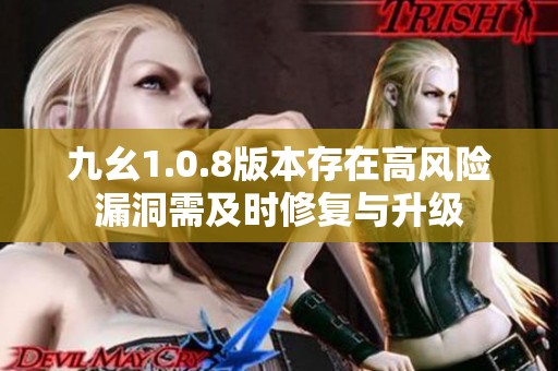 九幺1.0.8版本存在高风险漏洞需及时修复与升级